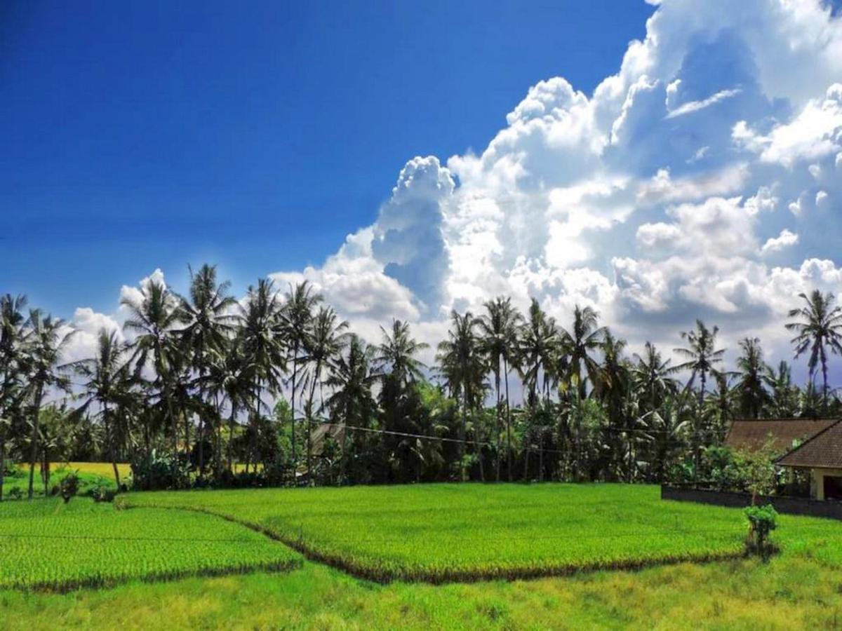 Pondok Ayu Soca Ubud Zewnętrze zdjęcie